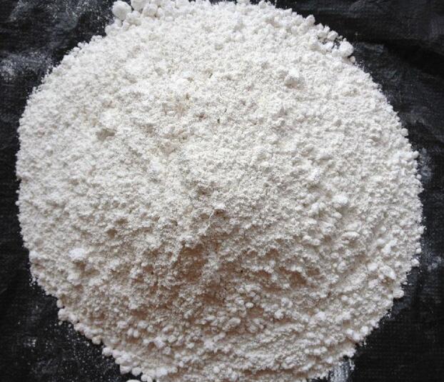 貝殼粉與石灰粉的區別有哪些？五個方法教您辨別